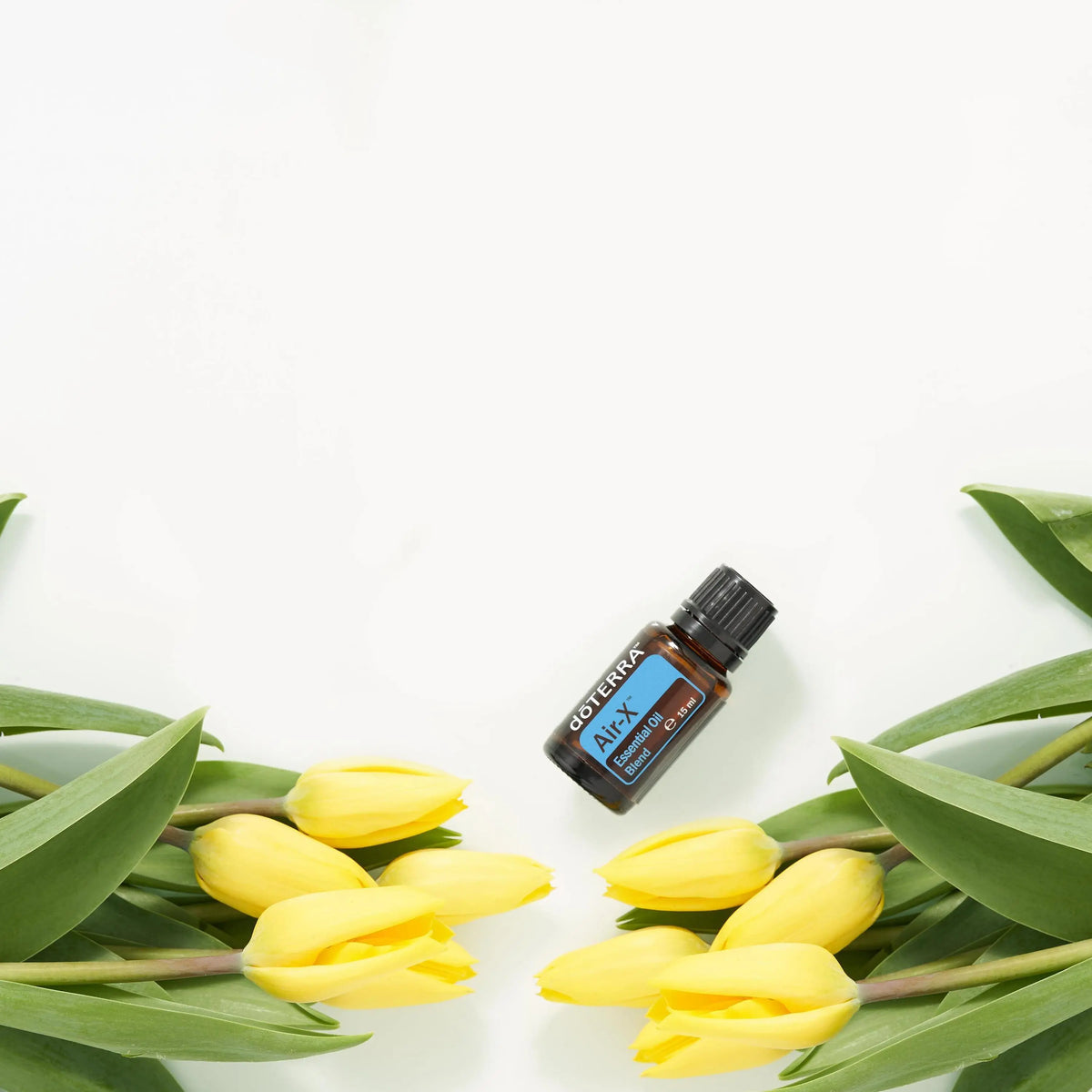 Óleo Essencial Air-X dōTERRA | 15 ml