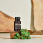 Cápsulas Moles CP+ doTERRA — frasco em bloco de madeira com musgo verde, suplemento de ácidos gordos