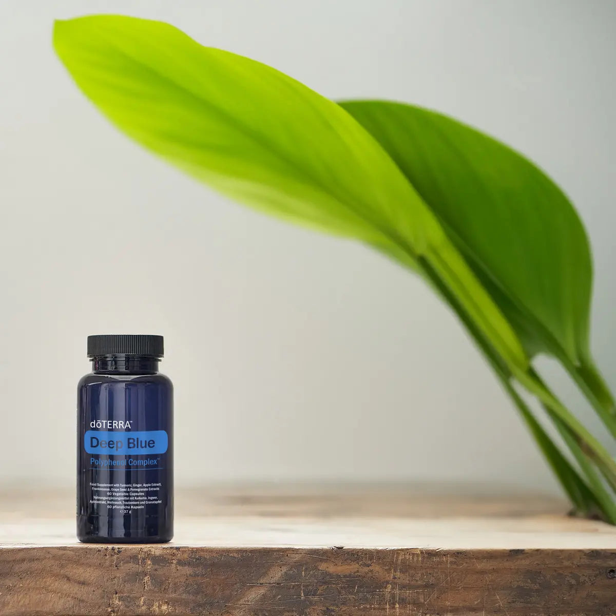 Deep Blue Polyphenol Complex doTERRA lifestyle planta madeira — suplemento articular CPTG