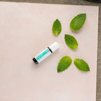 Tamer doTERRA 10ml roll-on — folhas de hortelã frescas, mistura digestiva para crianças, óleo essencial puro CPTG
