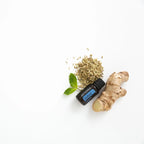 ZenGest doTERRA 15ml — com gengibre e funcho, óleo essencial digestivo puro CPTG, aromaterapia