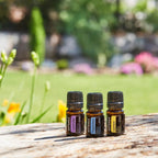 Kit Introdutório doTERRA — óleos essenciais em cena exterior com luz natural, aromaterapia CPTG
