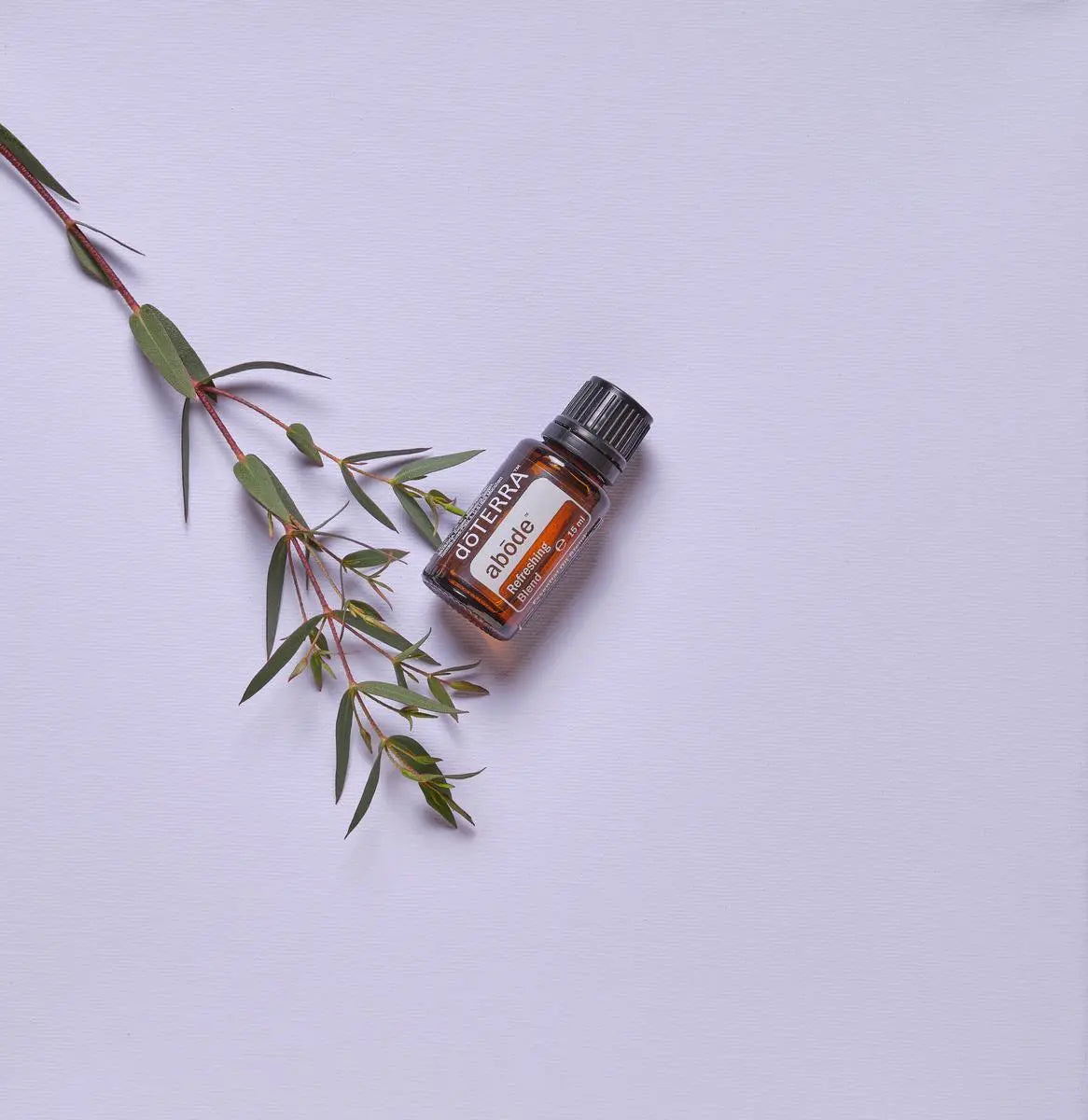 Mistura Abode doTERRA 15ml — frasco com ramo de eucalipto em fundo lilás, vista zenital