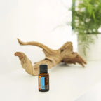 Mistura Air doTERRA 15ml — frasco sobre madeira branca junto à raiz de árvore e planta verde, pureza natural
