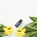 Mistura Air doTERRA 15ml — frasco em fundo branco com tulipas amarelas, blend respiratório aromaterapia