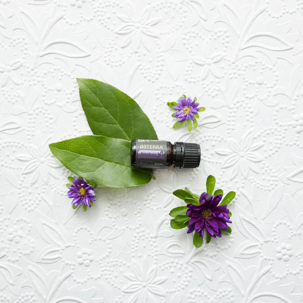 Mistura Anchor doTERRA 5ml — frasco em superfície branca com folhas verdes e flores moradas, centragem e estabilidade