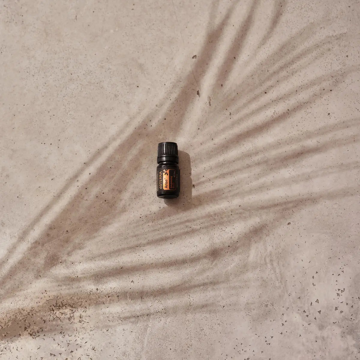 Mistura Arise doTERRA 5ml frasco betão sombra folha palmeira zenital, aromaterapia óleo essencial puro CPTG