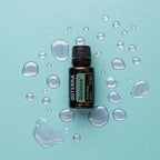 Balance doTERRA 15ml frasco fundo turquesa gotas água zenital, equilíbrio emocional óleo essencial CPTG