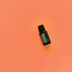Balance doTERRA 15ml frasco inclinado fundo laranja coral zenital, aromaterapia bem-estar