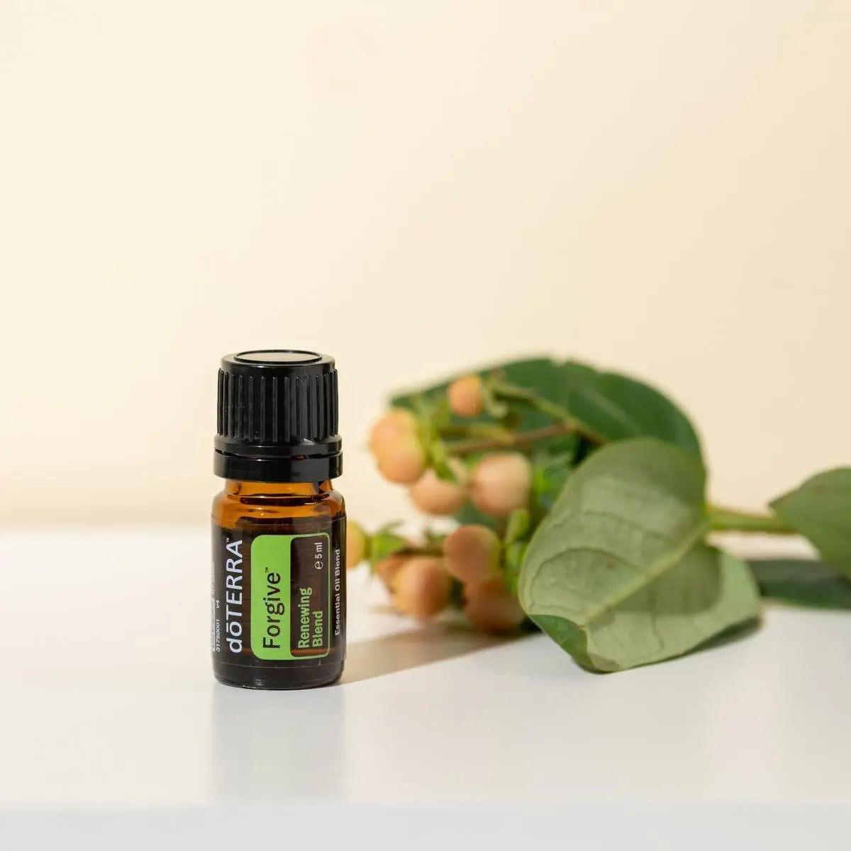 Forgive doTERRA 5ml estúdio bege ramos eucalipto bagas laranjas, libertação emocional óleo essencial CPTG