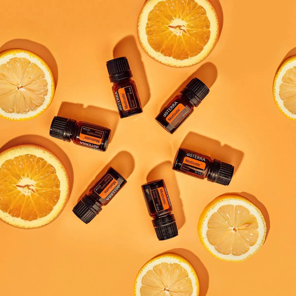 Motivate doTERRA 5ml cinco frascos ródelas laranja fundo laranja zenital, motivação óleo essencial CPTG