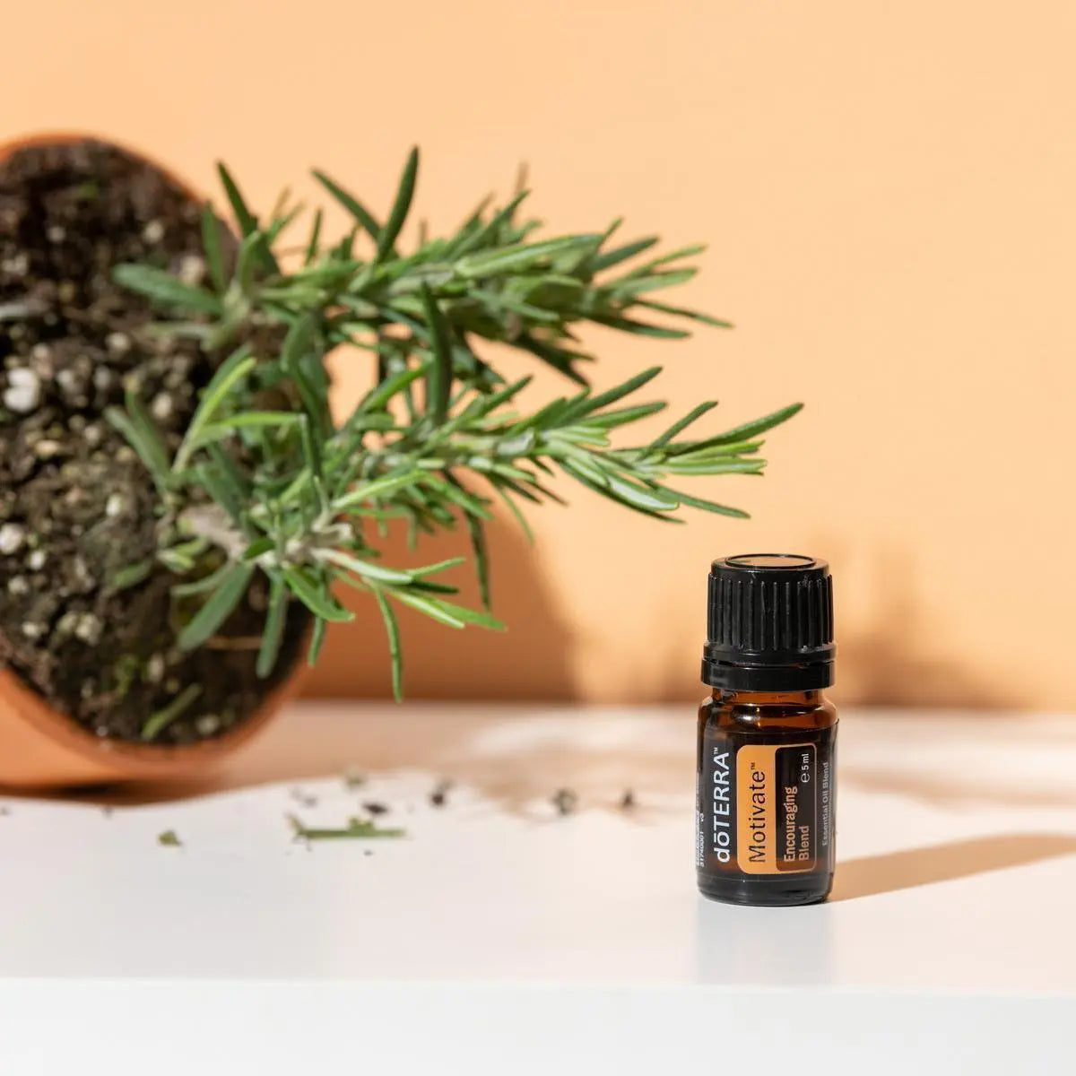Motivate doTERRA 5ml frasco vaso terracota alecrim fundo pêssego, aromaterapia motivação natural
