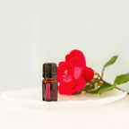Mistura Passion doTERRA 5ml — prato com concha branca e rosa vermelha, fundo acinzentado, aromaterapia, óleo essencial puro CPTG