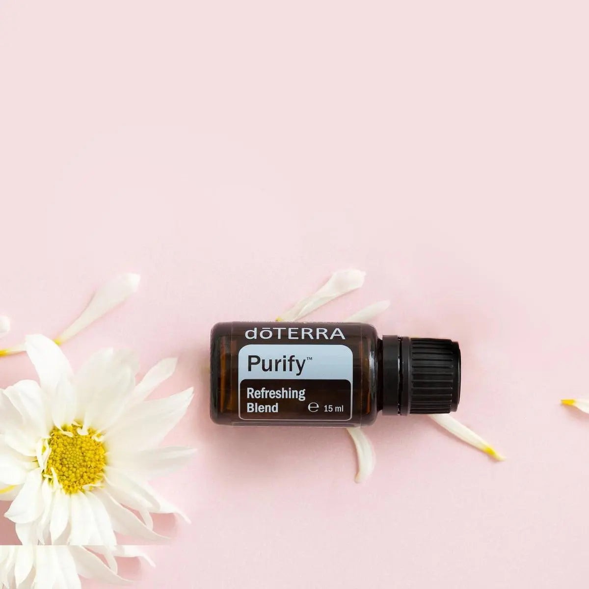 Mistura Purify doTERRA 15ml — frasco deitado com pétalas de margarida branca, fundo rosa, vista zenital, aromaterapia