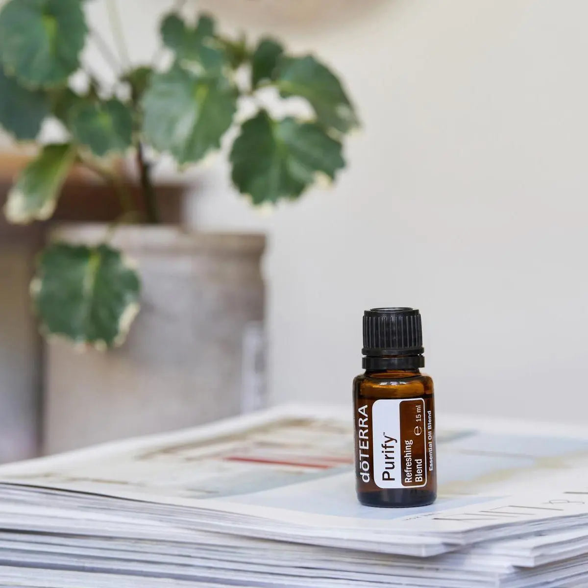 Mistura Purify doTERRA 15ml — pilha de revistas com planta pothos em vaso cinzento, ambiente interior, óleo essencial