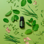 TerraShield doTERRA 15ml — ervas hortelã e tomilho com casca, fundo verde lima, vista zenital, óleo essencial puro CPTG