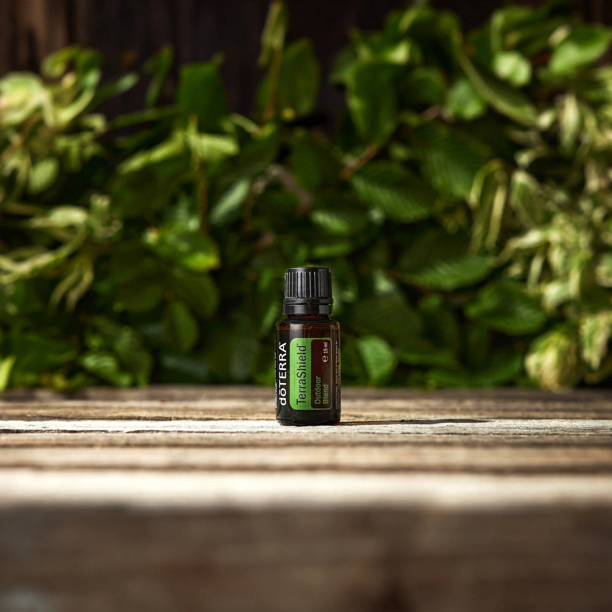 TerraShield doTERRA 15ml — tábua de madeira envelhecida com trepadeira, bokeh natural, aromaterapia ao ar livre