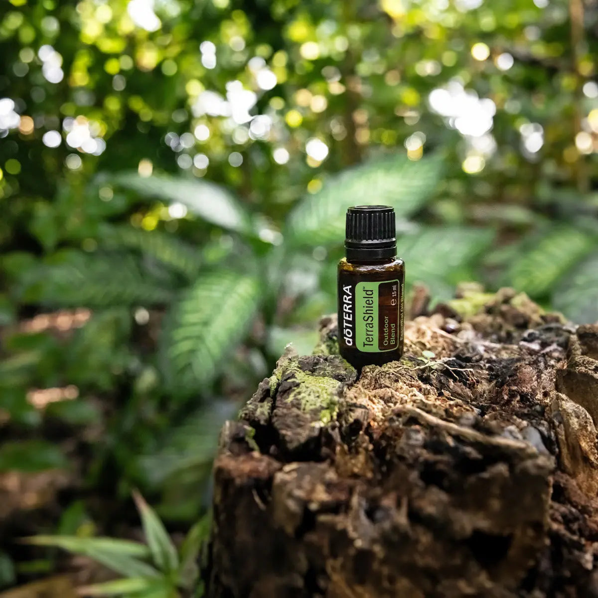 TerraShield doTERRA 15ml — tronco de árvore com musgo e fetos em floresta, bokeh verde, óleo essencial puro CPTG