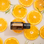 Zendocrine doTERRA 15ml — frasco com rodelas de laranja e alecrim, fundo creme, vista zenital, aromaterapia detox