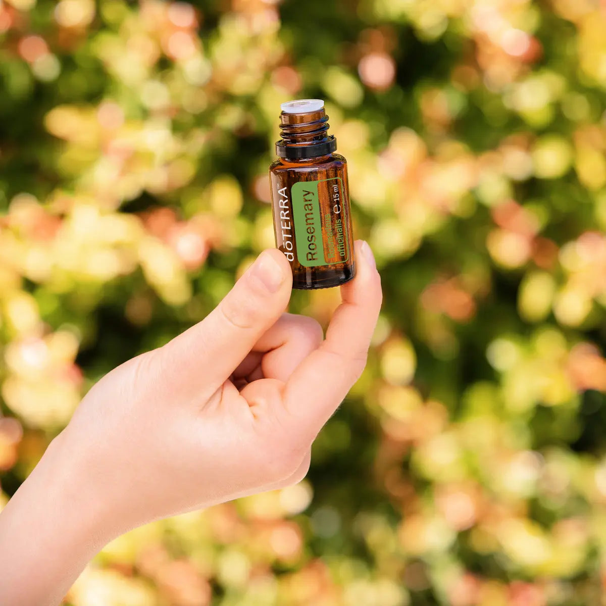 Óleo Essencial de Alecrim doTERRA 15ml mão exterior jardim outonal — aromaterapia CPTG