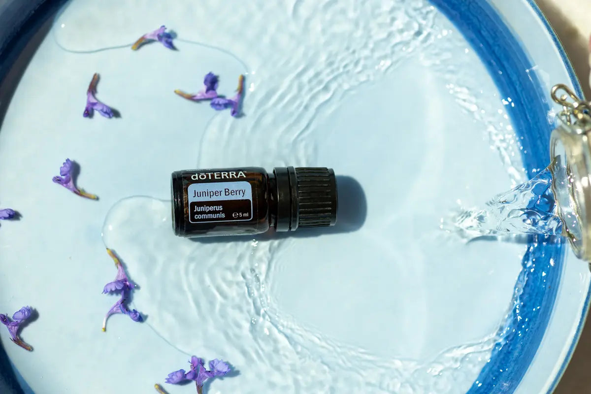 Óleo Essencial Baga de Zimbro doTERRA 5ml — tigela azul com água e pétalas roxas, vista zenital, aromaterapia CPTG