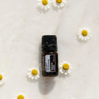 Óleo Essencial Camomila Romana doTERRA 5ml — flores de camomila em superfície húmida, vista zenital, óleo essencial puro