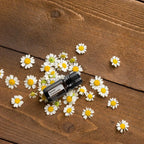 Óleo Essencial Camomila Romana doTERRA 5ml — flores de camomila em tábua de madeira, vista zenital, aromaterapia CPTG