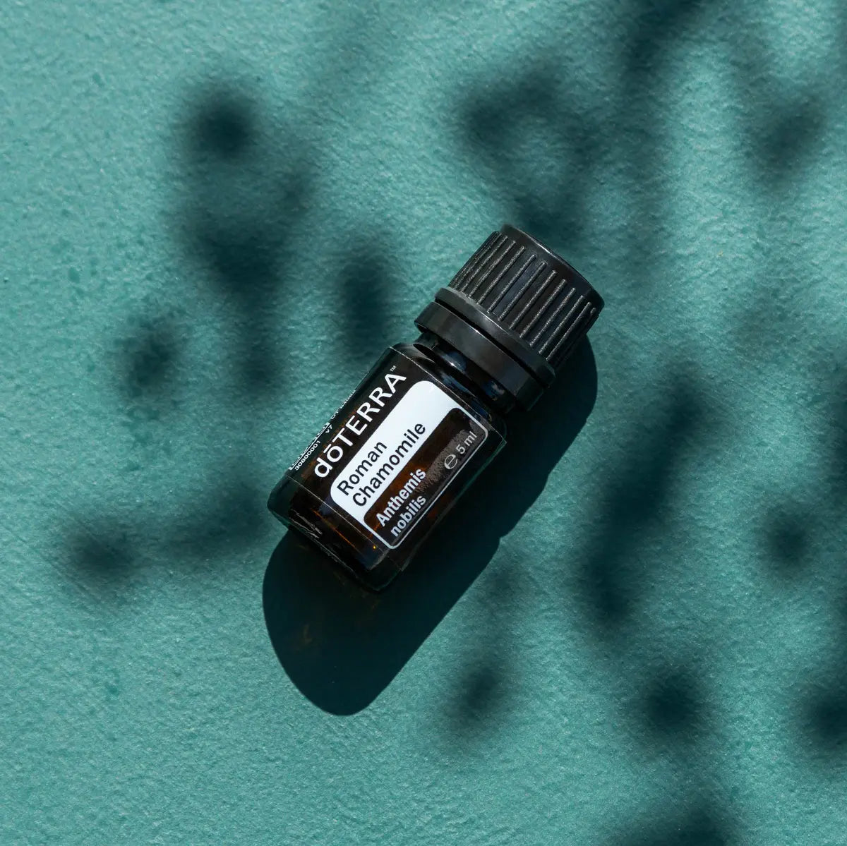 Óleo Essencial Camomila Romana doTERRA 5ml — fundo teal com sombras de folhas e luz solar, CPTG puro doTERRA