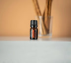 Óleo Essencial Canela doTERRA 5ml — superfície branca com difusor de vime e fundo bege, aromaterapia CPTG