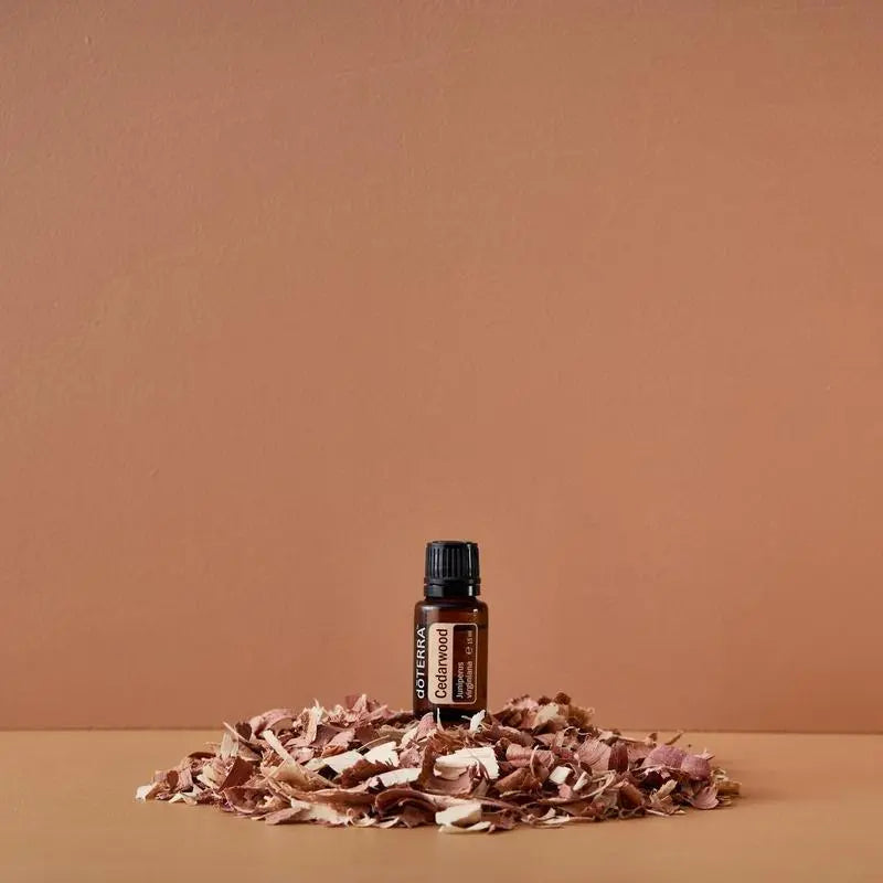 Óleo Essencial Cedro doTERRA 15ml — aparas de madeira de cedro fundo terracota, aromaterapia CPTG puro