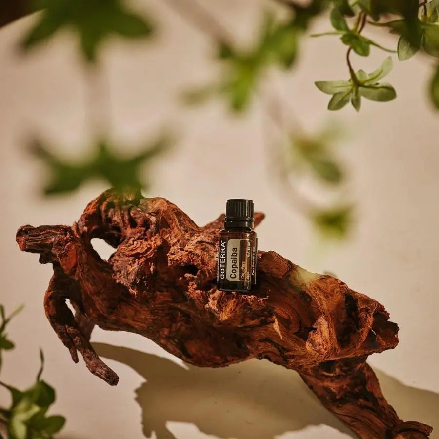 Óleo Essencial Copaíba doTERRA 15ml — raiz de madeira tropical com folhas verdes, óleo essencial puro CPTG