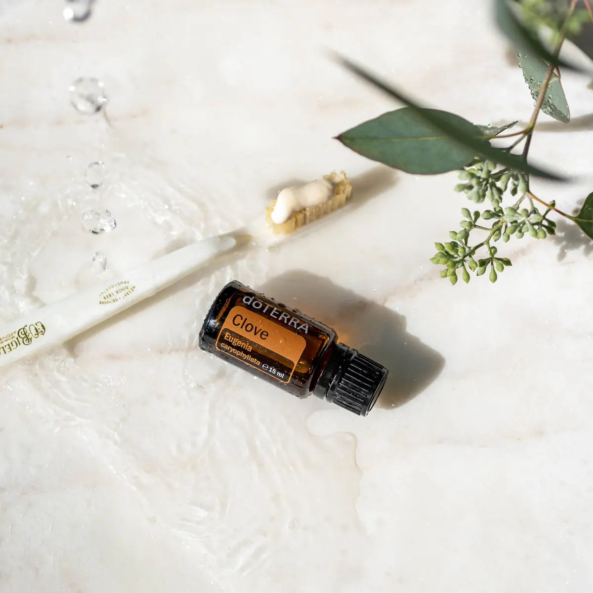 Óleo Essencial Cravo doTERRA 15ml — junto a plantas naturais, óleo essencial CPTG aromaterapia