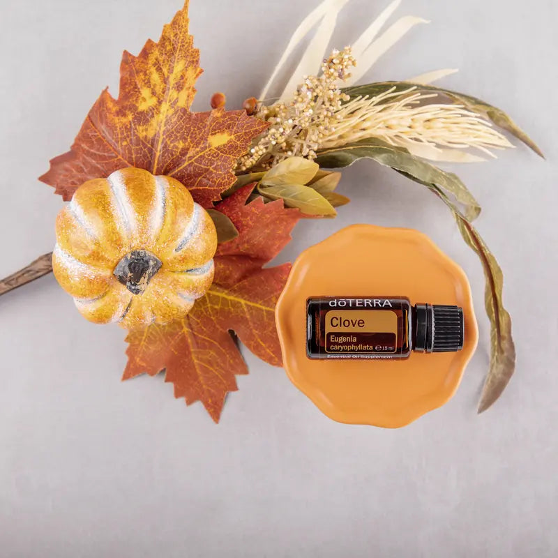 Óleo Essencial Cravo doTERRA 15ml — prato laranja e abóbora em estúdio, aromaterapia especiaria natural