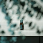 Óleo Essencial Eucalipto doTERRA 15ml — folhas fundo cinzento azulado, óleo essencial CPTG puro Portugal