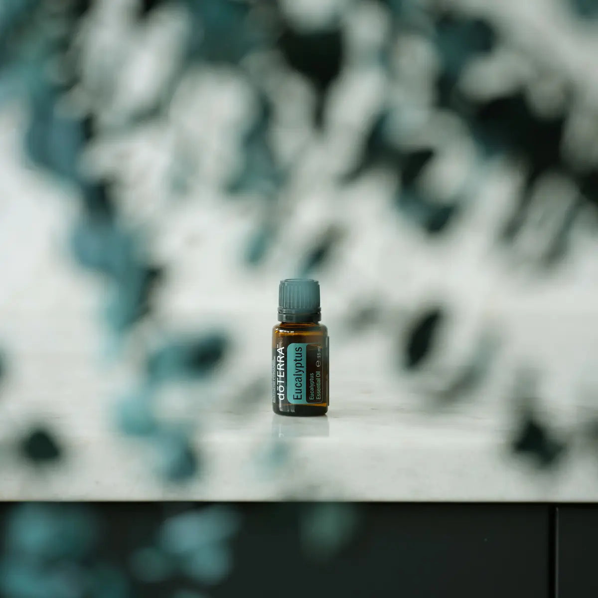 Óleo Essencial Eucalipto doTERRA 15ml — folhas fundo cinzento azulado, óleo essencial CPTG puro Portugal