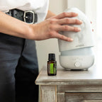 Óleo Essencial Eucalipto Limão doTERRA 15ml — mesa madeira com difusor doTERRA branco, aromaterapia