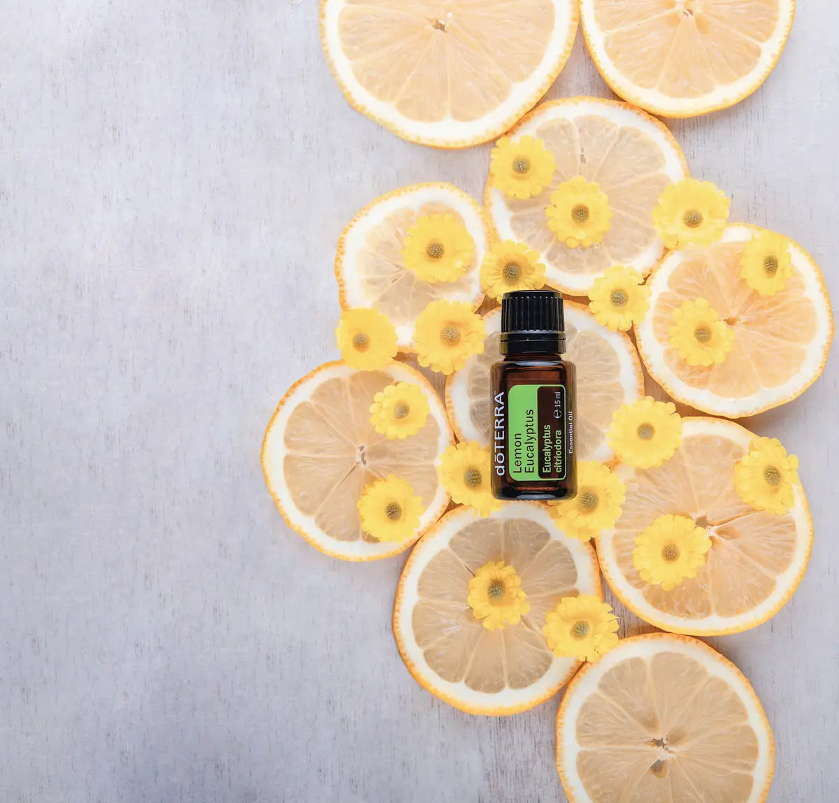 Óleo Essencial Eucalipto Limão doTERRA 15ml — rodelas de limão secas e flores amarelas zenital
