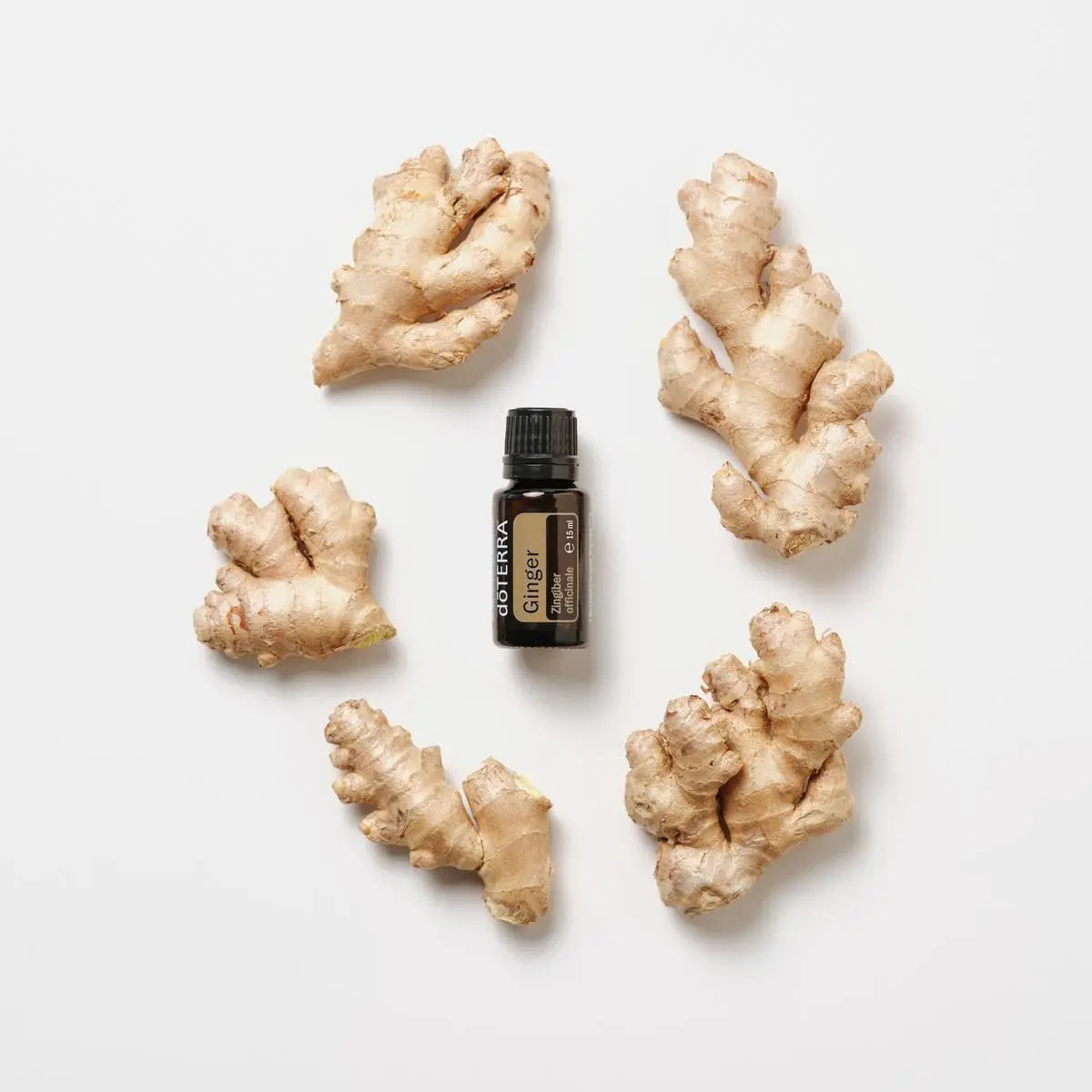 Óleo Essencial Gengibre doTERRA 15ml — bocados de raiz de gengibre fundo branco zenital, CPTG puro