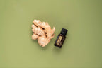 Óleo Essencial Gengibre doTERRA 15ml — raiz de gengibre fundo verde salva zenital, óleo natural