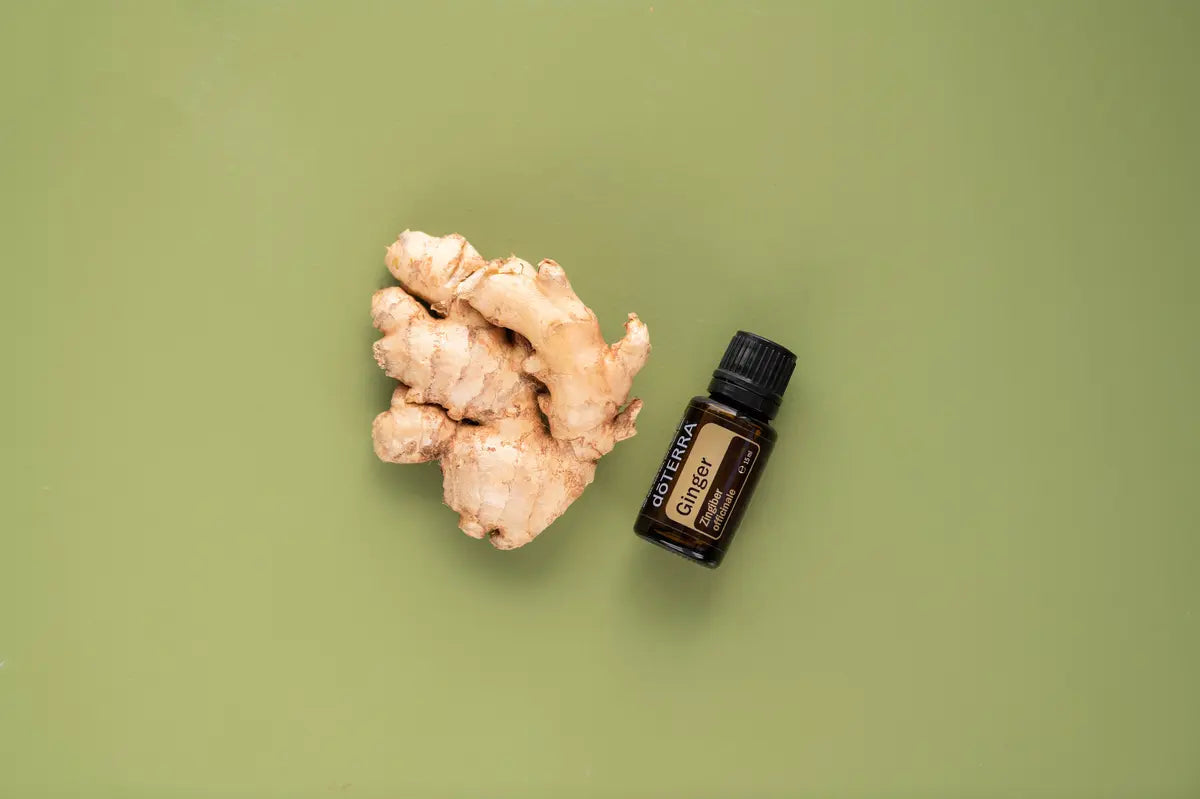 Óleo Essencial Gengibre doTERRA 15ml — raiz de gengibre fundo verde salva zenital, óleo natural