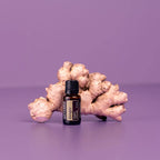Óleo Essencial Gengibre doTERRA 15ml — raiz gengibre iluminação púrpura fundo roxo, aromaterapia