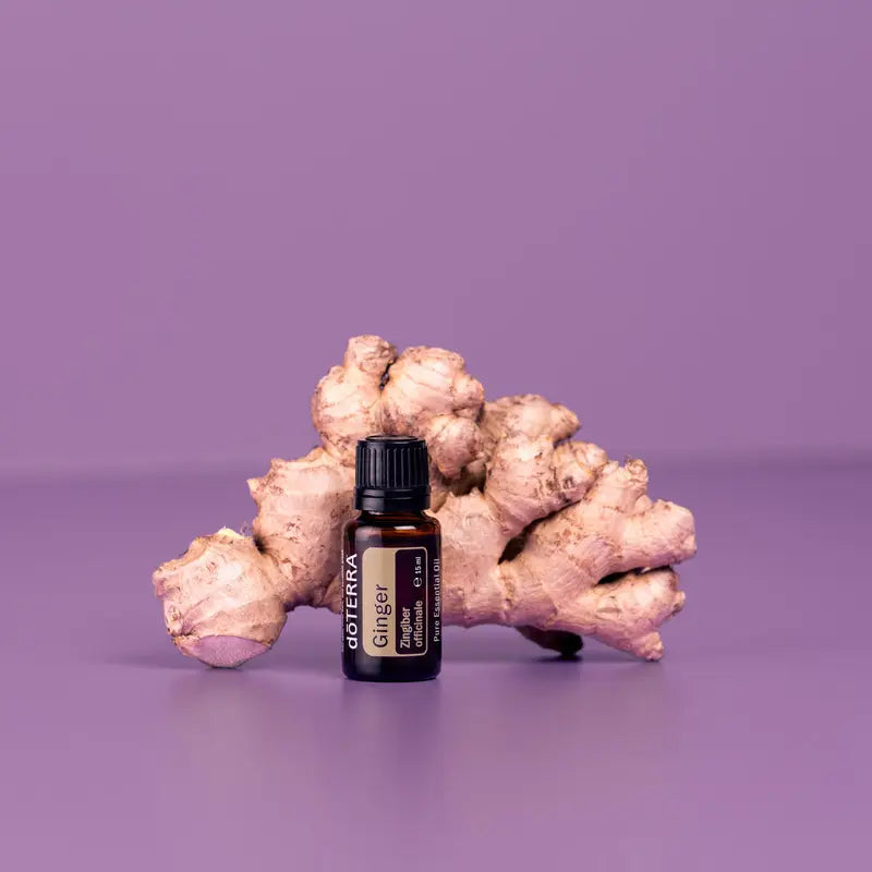 Óleo Essencial Gengibre doTERRA 15ml — raiz gengibre iluminação púrpura fundo roxo, aromaterapia