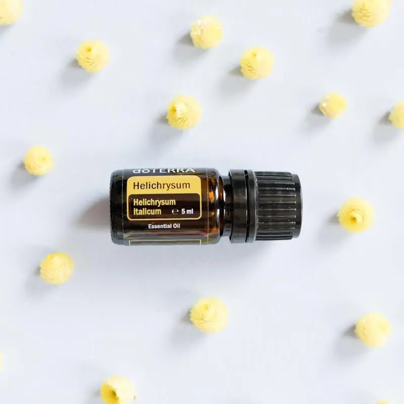 Óleo Essencial Helicriso doTERRA 5ml — flores secas amarelas helichrysum em fundo cinzento, aromaterapia pura