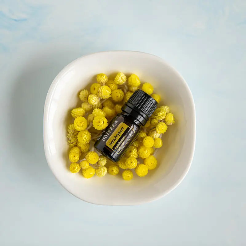 Óleo Essencial Helicriso doTERRA 5ml — com tigela cerâmica e flores amarelas em fundo azul, cuidado da pele