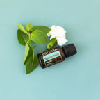 Óleo Essencial Hortelã-Verde doTERRA 15ml — folhas de hortelã e flor branca em fundo turquesa, aroma suave