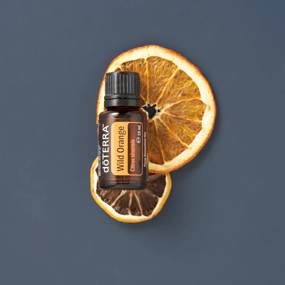 Óleo Essencial Laranja Silvestre doTERRA 15ml — rodelas de laranja secas em fundo cinzento e azul, aromaterapia