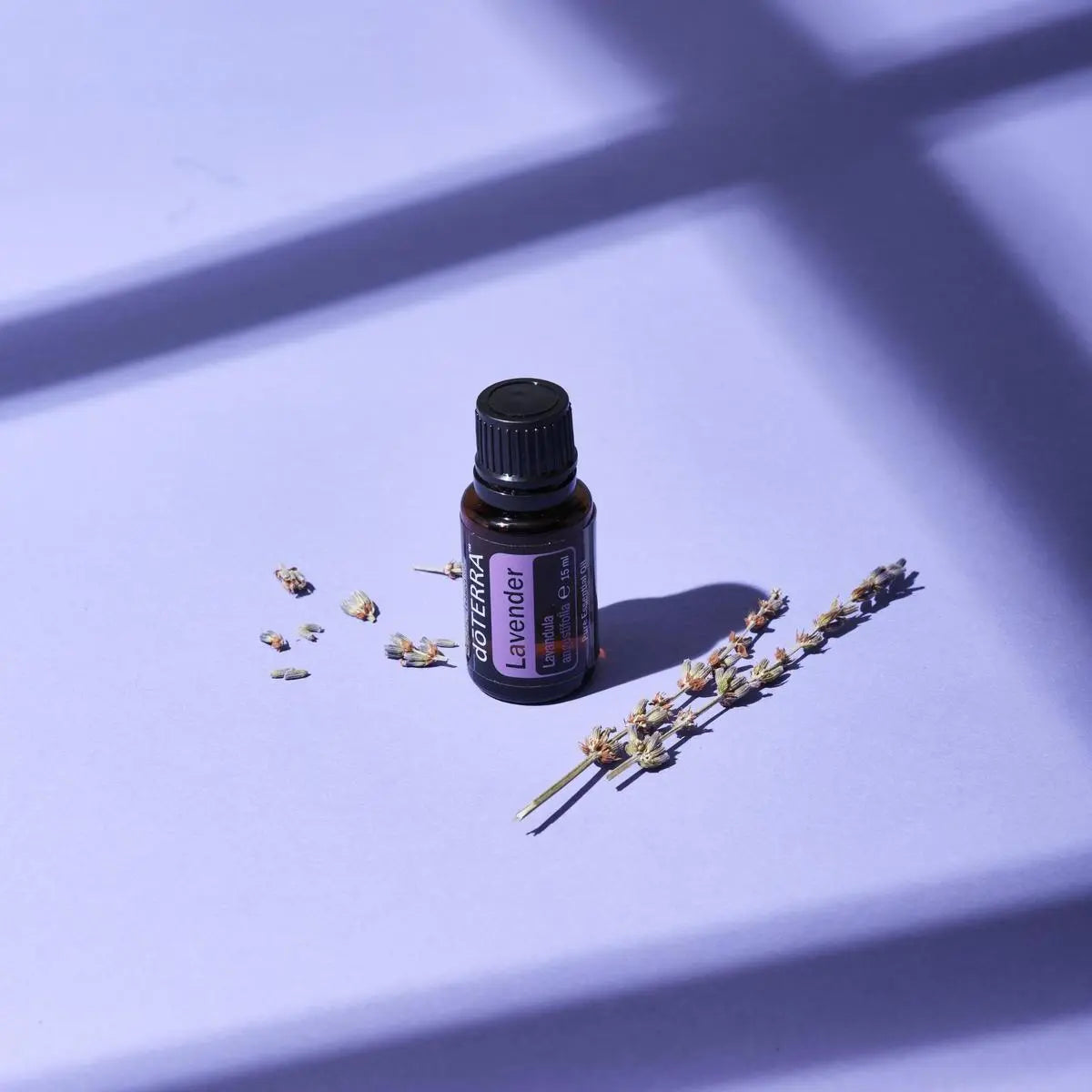 Óleo Essencial Lavanda doTERRA 15ml — sobre superfície lilás com flores secas e sombra, aromaterapia pura