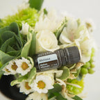Óleo Essencial Melissa doTERRA 5ml — frasco junto a ramo de flores brancas tipo margaridas com folhas verdes, aromaterapia, óleo essencial puro CPTG