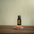 Óleo Essencial Orégão doTERRA 15ml — frasco sobre rodelas de bétula com fundo verde e salva, aromaterapia, óleo essencial puro CPTG