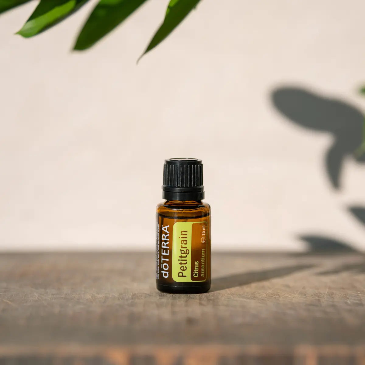 Óleo Essencial de Petitgrain doTERRA 15ml madeira rústica sombra folha luz natural — aromaterapia CPTG